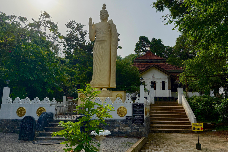 From Colombo: Cave Temples, Jungle Trek & Waterfall Swim