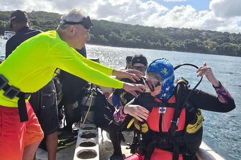 Scuba Diving in Puerto Plata Scuba Dive + Transport