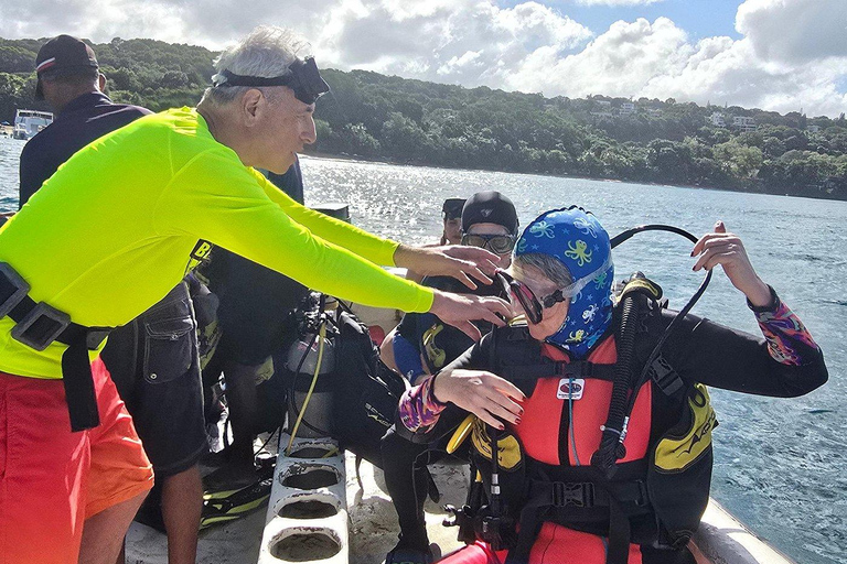 Scuba Diving in Puerto Plata Scuba Dive + Transport