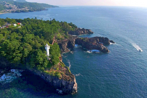 Tokio: Izu-schiereiland Trein Mt Omuro, Capibara-sightseeingtripGroepstour met 07:20 uur Meetup op het station van Tokio