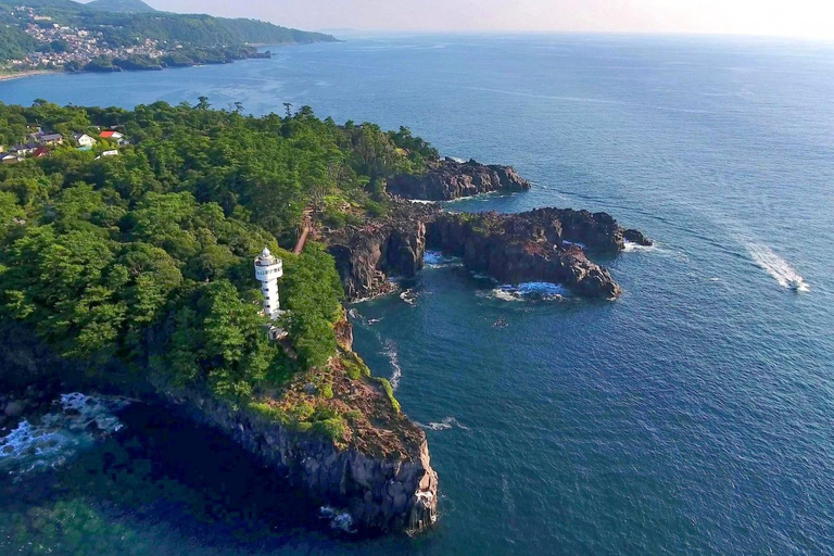 Tokio: Izu-schiereiland Trein Mt Omuro, Capibara-sightseeingtripGroepstour met 07:20 uur Meetup op het station van Tokio