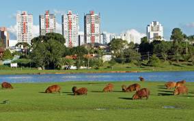 Curitiba: Tour in Barigui Park
