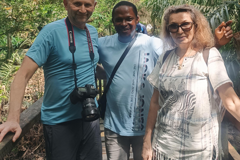 Lagos: Art, Culture, Nature, and Heritage Day Tour