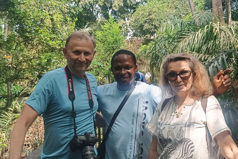 Lagos: Art, Culture, Nature, and Heritage Day Tour