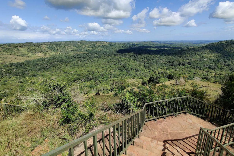 Diani: Guided day trip to Shimba Hills Reserve with lunch