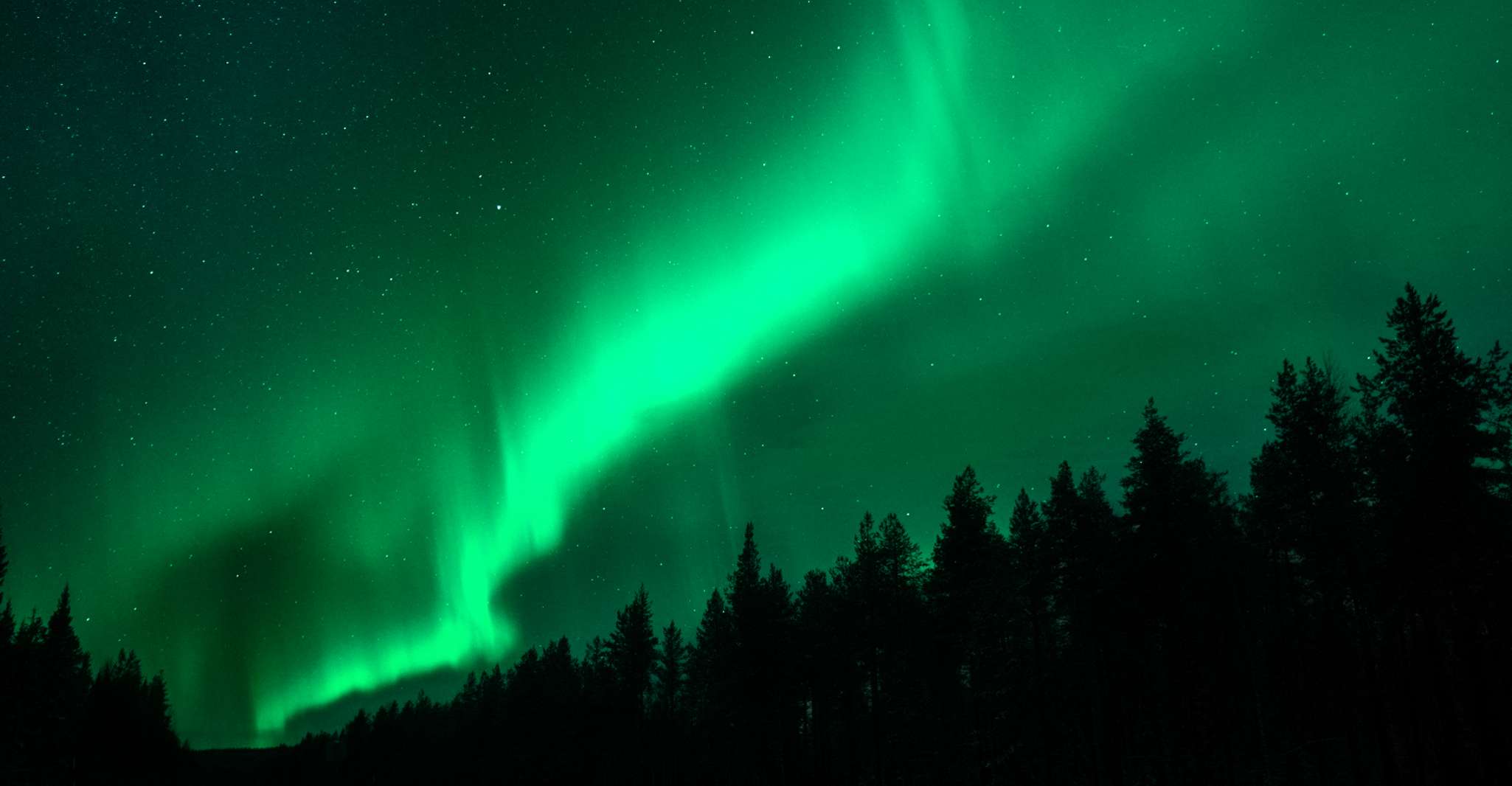 Rovaniemi, Northern Lights Tour with Guaranteed Sightings - Housity