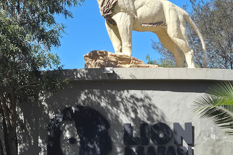 From Johannesburg: Lion & Safari Park Guided Game Drive