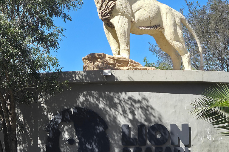 From Johannesburg: Lion & Safari Park Guided Game Drive