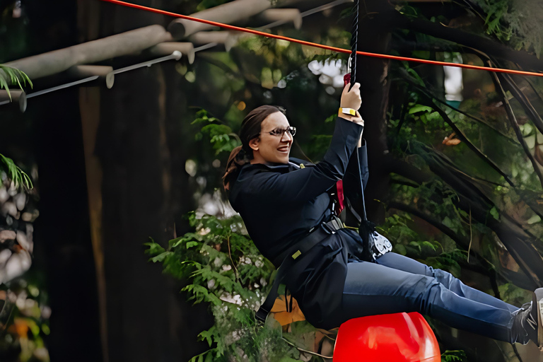 丹吉尔：大力神公园一日冒险活动和接送服务丹吉尔：海格力斯公园一日探险活动和接送服务