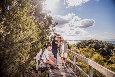 Auckland | Rangitoto Island Guided Hike with Ferry Ride Auckland: Rangitoto Island Guided Hike with Ferry Ride