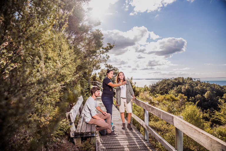 Auckland | Rangitoto Island Guided Hike with Ferry Ride Auckland: Rangitoto Island Guided Hike with Ferry Ride