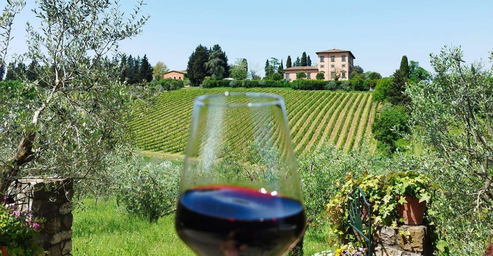 Florence: Chianti Wine Tour with 3 Wineries & Tuscan Lunch photo 10
