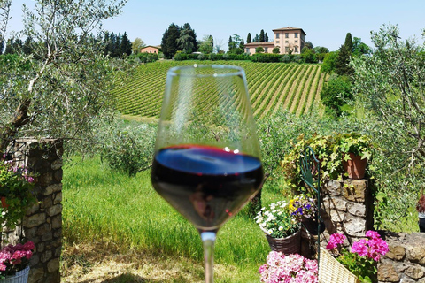Florence: Chianti Wine Tour with 3 Wineries & Tuscan Lunch