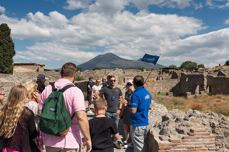 Rome: Pompeii Day Trip Guided Tour with New Excavation Areas