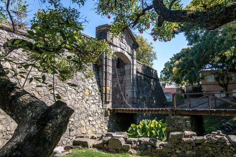 Colonia del Sacramento: Sightseeing Walking Tour and Coffee in the Old Town