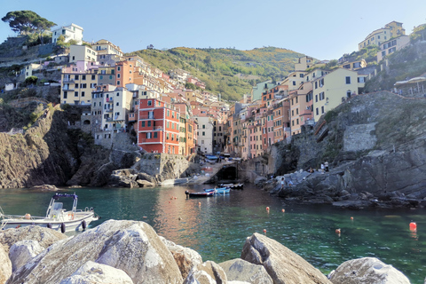 Da Firenze: Tour per piccoli gruppi di un giorno alle Cinque Terre e a Pisa