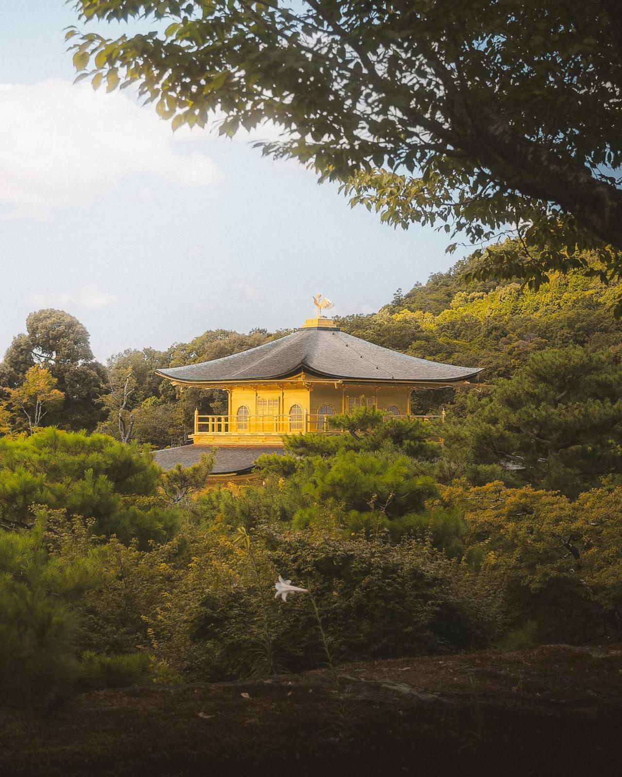 Kyoto: Individuelle, private Tagestour mit Guide und Fahrzeug