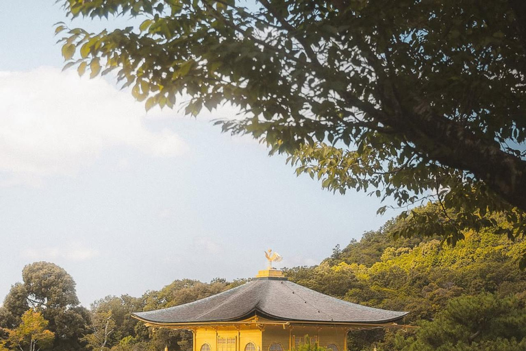 Osaka/Kyoto; Kyoto and Nara customizable Day Tour with Guide