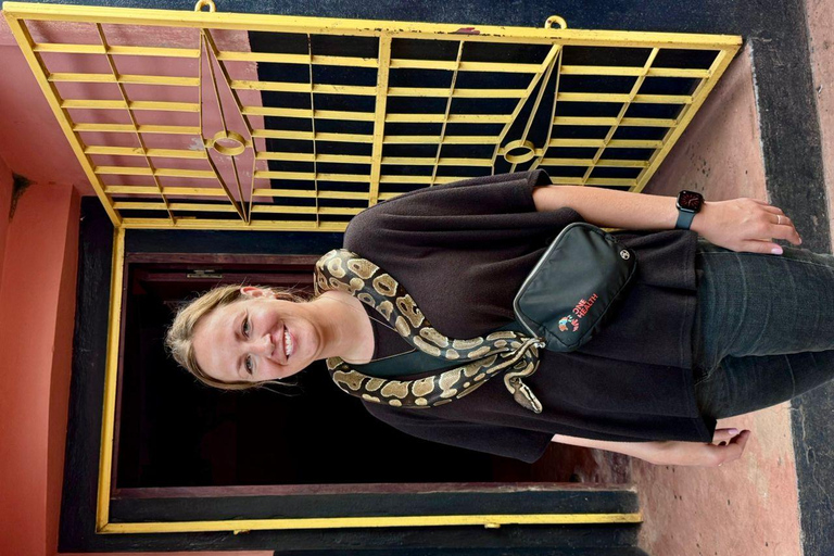 من أكرا: جولة إرشادية في غانا وتوغو وبنين ونيجيريا لمدة 12 يوماً