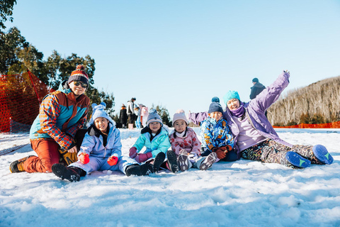 Melbourne: Lake Mountain Snow & Puffing Billy Day Tour