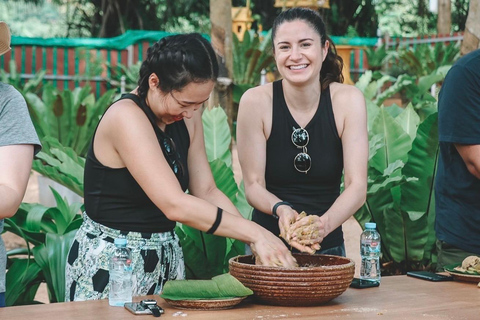 Koh Samui: Ethical Elephant Home Guided Tour with Transfers