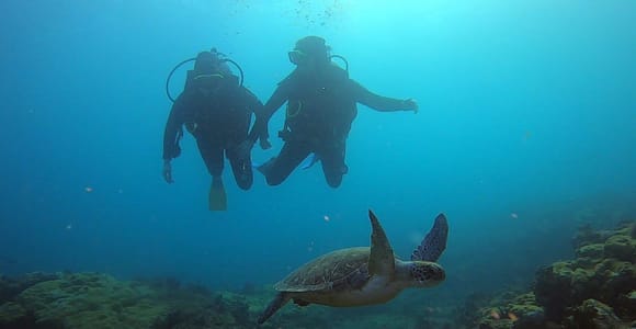 Discover Scuba Diving Program for Beginners