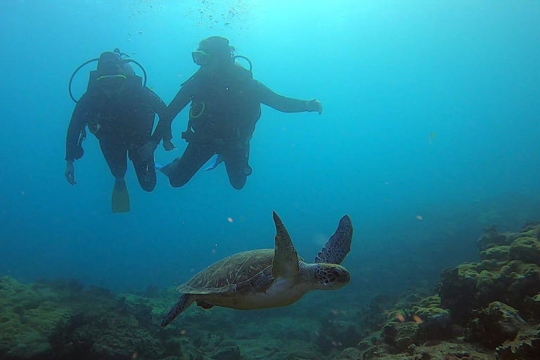 Program Discover Scuba Diving dla początkujących