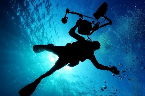 Cancun: MUSA Diving Experience