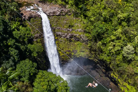 Hawaii: Tour in battello di Hilo sull'Isola Grande con prelievo dalla nave da crociera