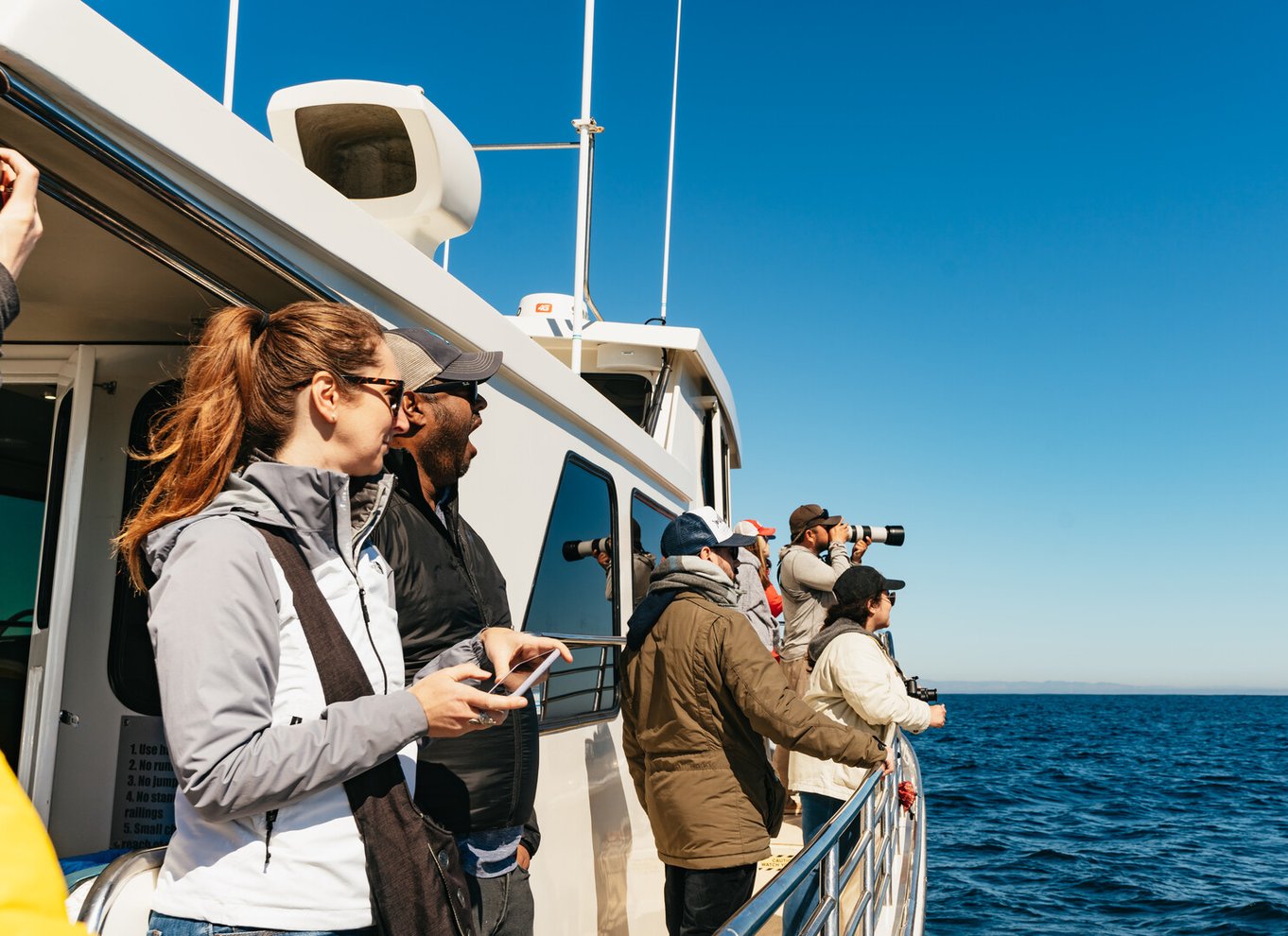 Monterey Bay: Tur med hvalsafari