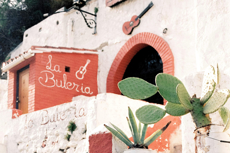 Granada: Albaicín y Sacromonte Tour Privado Guiado a Pie