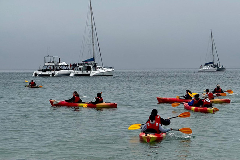 Walvis Bay: Seal Kayaking Adventure with Brunch