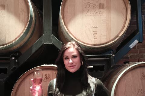 جولة النبيذ في مدينة ترافيرس سيتي القديمة بدون حافلات لكبار الشخصيات من جي إم سي سي يوكون