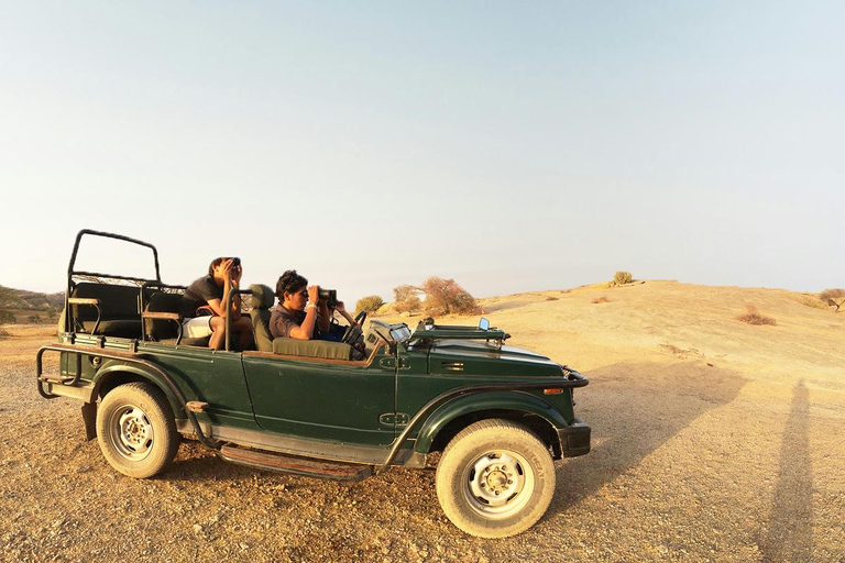 Jodhpur: Day Trip to Jawai Leopard Safari and Ranakpur Tour for 4-6 Travellers