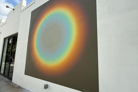 Fort Lauderdale: Thrive District walking Street Art Tour