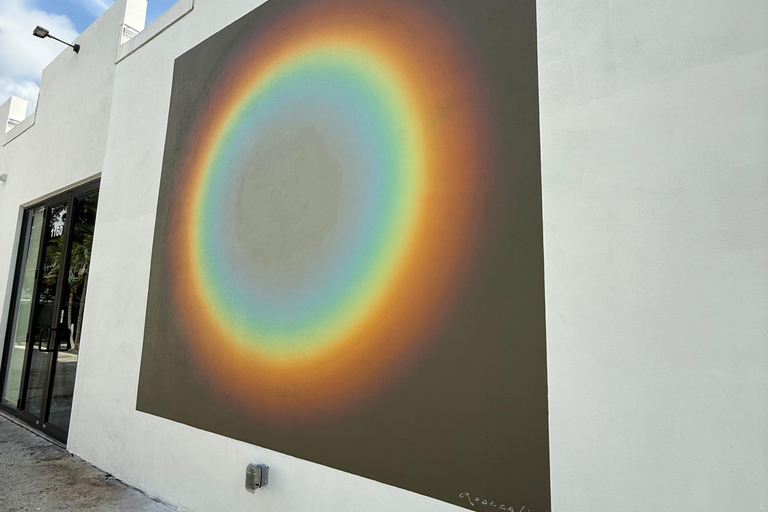 Fort Lauderdale: Thrive District walking Street Art Tour