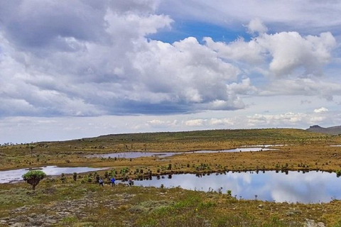Aberdares: Caminhada guiada pelas Sete Lagoas com vistas panorâmicasAberdares: Caminhada guiada pelas Sete Lagoas com vistas incríveis