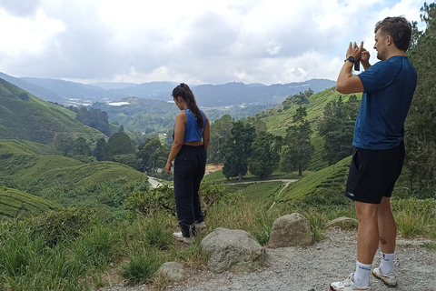 Private Guided Mossy Forest Tour & Malaysia Transfer