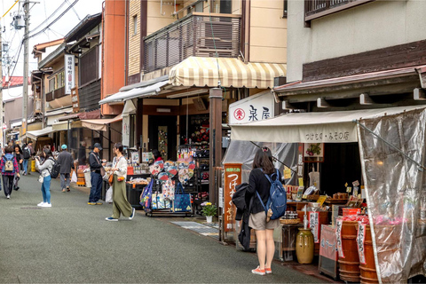 Private Shirakawago & Takayama Tour:Explore Japan's Heritage