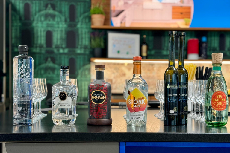 Dresden: Gin and Gin & Tonic Tasting with Guided Sampling