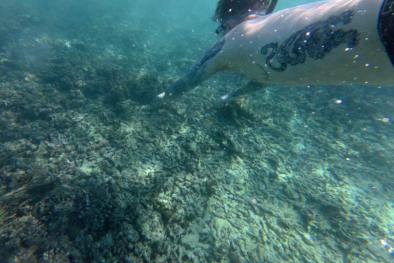 Full-Day Dimaniyat Islands Cruise with Live BBQ & Snorkeling Full Day Dimaniyat Islands Cruise with Live BBQ & Snorkeling