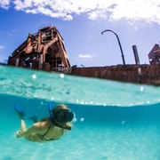 Moreton Island: Tangalooma Day Trip with Snorkeling Tour