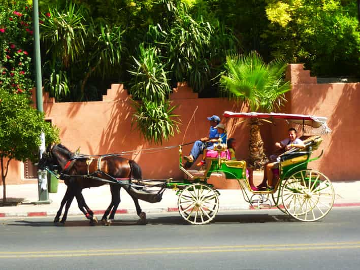 Promenade en calèche : découvrez Marrakech en 2 heures | GetYourGuide