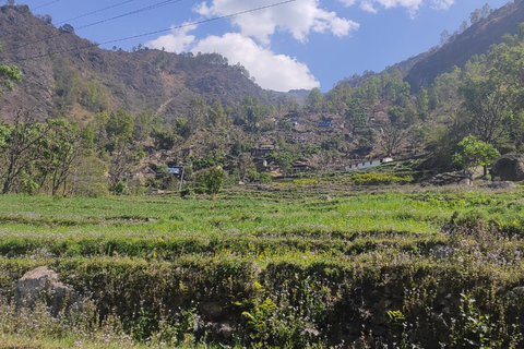 Excursión de un día al Parque Nacional de Shivapuri desde Katmandú