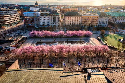 Stockholm: Guided Bike Tour