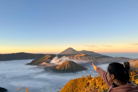 Yogyakarta: 3-Day Bromo & Ijen Volcano Tour to Bali Shared Group Tour without Hotels & Tickets (Budget Friendly)