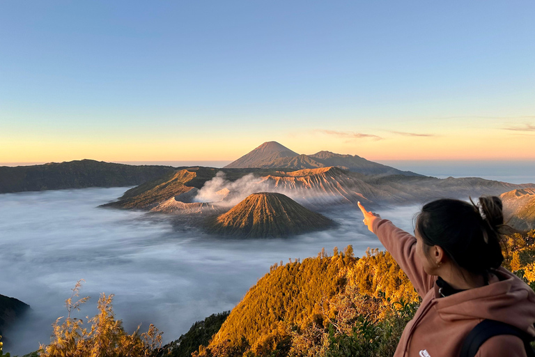 Yogyakarta: 3-Day Bromo & Ijen Volcano Tour to Bali Shared Group Tour without Hotels & Tickets (Budget Friendly)