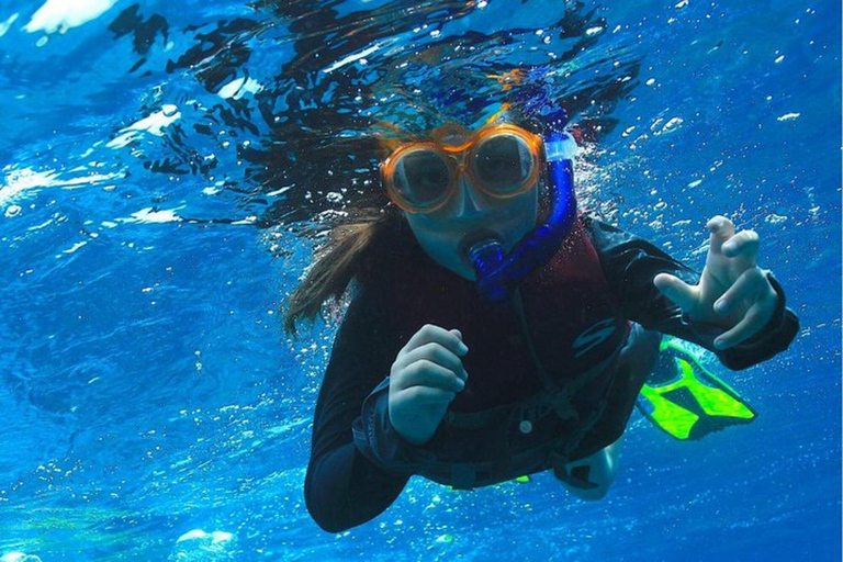 Cancun: Nurkowanie z rurką w Muzeum Podwodnym i na rafie Manchones