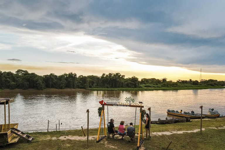 São Paulo: 3-Day Eco Safari Experience in the Pantanal