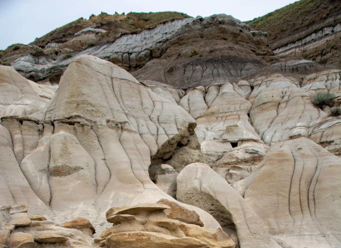 Badlands-tur: Drumheller med museum, hoodoos og dinosaurer